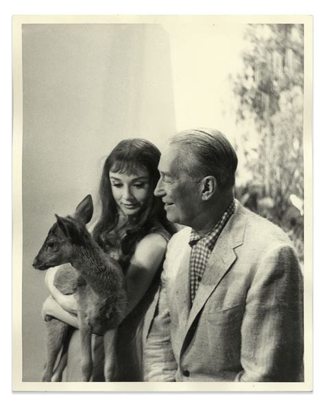 Fans still mourn since audrey hepburn died at her home in 1993 25