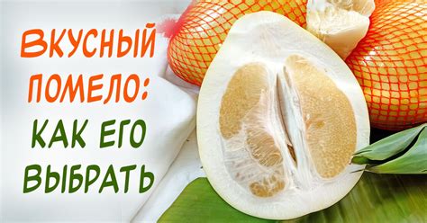 Как выбрать помело: покупаем спелый плод - Со Вкусом