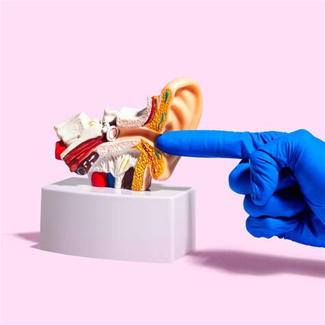 Opinion | When the Medical Establishment Gets Things Wrong, Doctors Dig ...