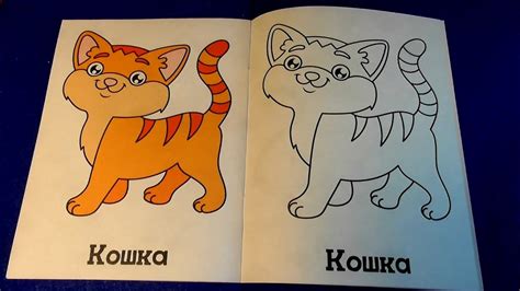 😻Моя Первая Раскраска | Красивая Кошечка | My First Coloring Book - YouTube
