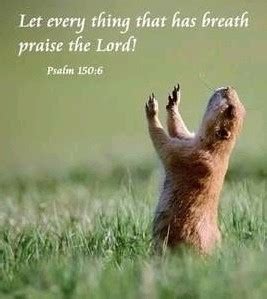 Living In The Peace Zone Let Every Thing That Has Breath Praise The