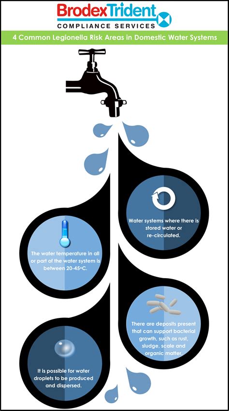 Common Legionella Risk Areas In Water Systems Infographic