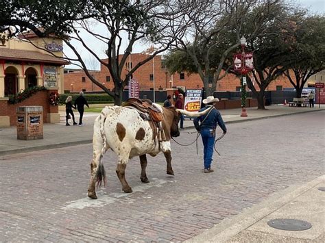 Fort Worth Stockyards National Historic District 2020 All You Need To Know Before You Go With