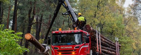 Лесовозы Scania для перевозки груза любого объема | Север-Скан Авто