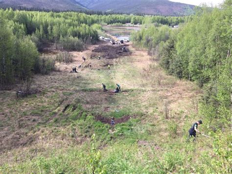 Series Of Fires Prompt Temporary Ban Of Incendiary Ammunition At Chena River Shooting Range