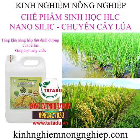 Nano Silic Chai 500ml Can 5 LÍt ChẾ PhẨm Sinh HỌc Hlc BỔ Sung Silic