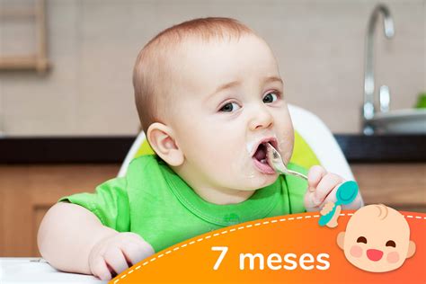 Bebê De 7 Meses Já Entende - Cardápio Para Bebê De 7 Meses Para Imprimir - NAZAEDU