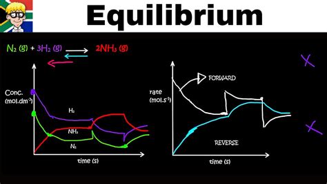 Equilibrium Graphs Grade 12 Concentration Youtube