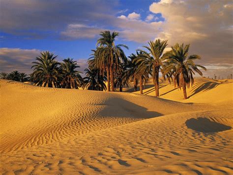 desert oasis wallpapers top  desert oasis backgrounds