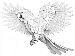 Simple Macaw Coloring Sheet - Coloring Page