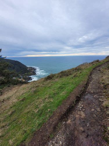 Best 10 Hikes and Trails in Cape Perpetua Scenic Area | AllTrails