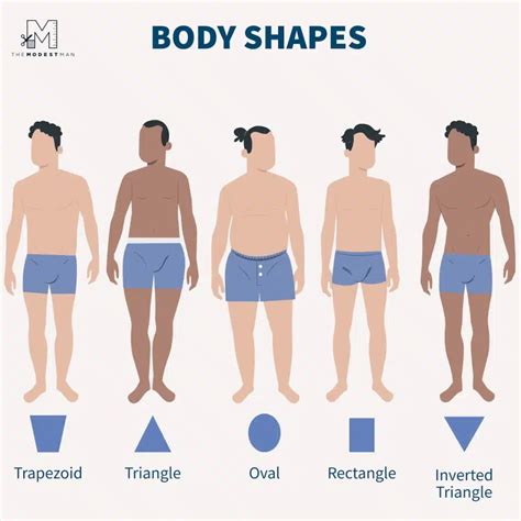 Male Body Types: A Comprehensive Guide - The Modest Man