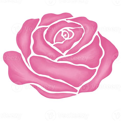 Desenhar Flor Rosa - ilustração de desenho de flor rosa rosa 13168367 PNG
