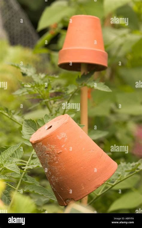 terracotta pots in garden Stock Photo - Alamy