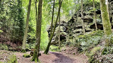 S Deifel Vdn Verband Deutscher Naturparke E V