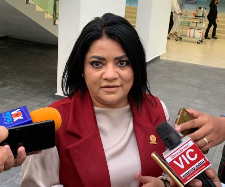 Acción legal del PAN contra representante y sobrina de AMLO SOCIALES 21