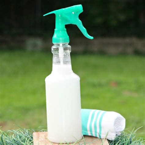 How To Make Homemade Window Cleaner Happy Mothering