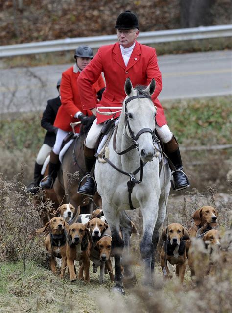 When The Horn Calls Fox Hunters Hounds And Horses Respond State And