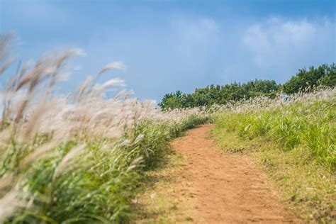 한국관광공사 대한민국 구석구석 On Twitter 제주도 오름 은 역쉬 가을에 올라야 제맛 제일 가고 싶은 오름은