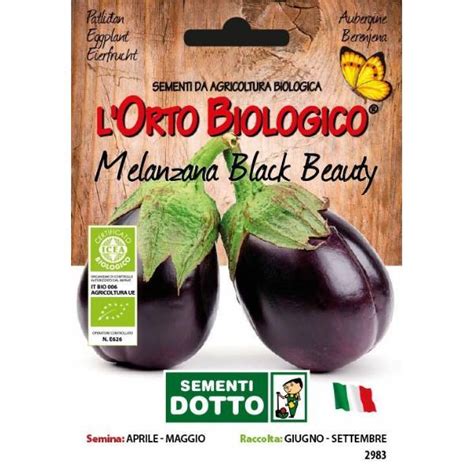 Semi Biologici Di Melanzana Black Beauty