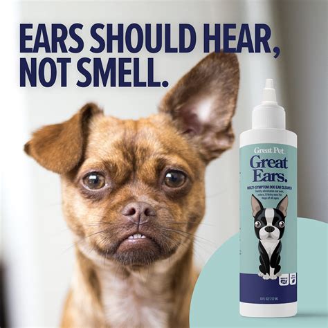 How To Clean Dog Ears Hair at Heriberto Barry blog
