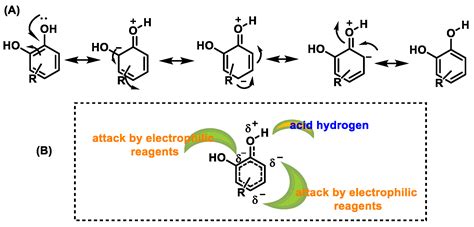 Processes Free Full Text Polyphenols As Antioxidant Pro Oxidant