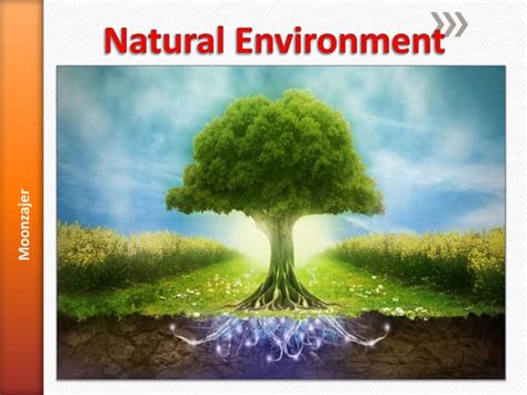 natural environment pptx