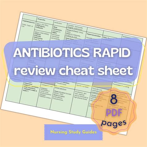 Antibiotic Cheat Sheet Etsy