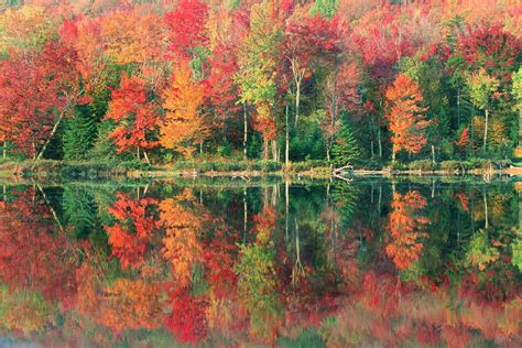 list  properties  quebec ducks unlimited canada