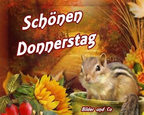 Guten Morgen Donnerstag Bilder Herbst Kostenloser Reinickendorfer