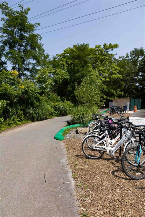 Cayuga Waterfront Trail - Ithaca Trails