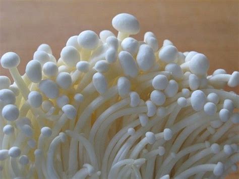 Китайские грибы: Древесные, белые, соломенные, шиитаке, эноки, эринги ...