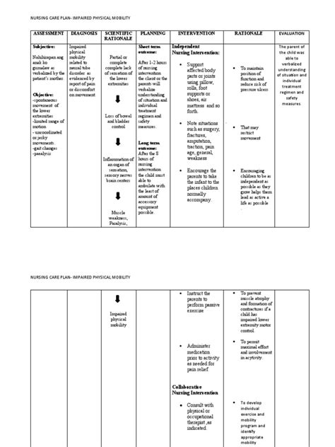 Spinal Bifida Ncp Impaired Physical Mobility Pdf Pain Nursing