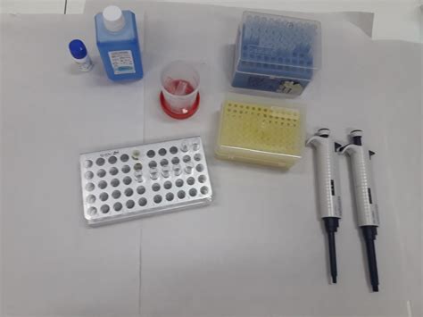 PRÁCTICA 9 DETERMINACIÓN DE PROTEÍNAS TOTALES POR EL MÉTODO DE BIURET