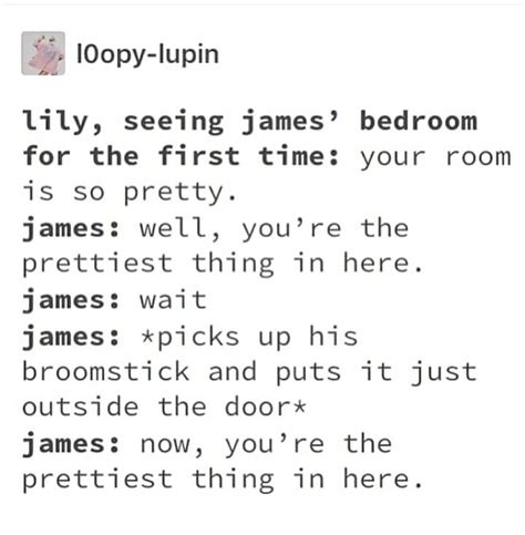 Pin By Matilde On Marauders Gay Harry Potter Harry Potter Jokes