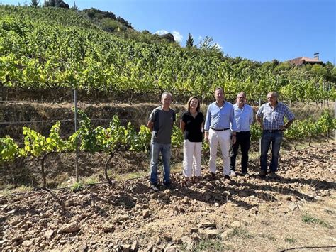 Bodega Cayo Invierte Euros En Mejorar Sus Instalaciones El