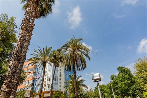 Palm Trees And High Rise Buildings In Antalya Turkey Editorial