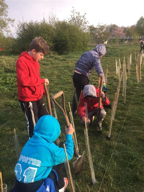 Friends Of Rowntree Park Home Facebook