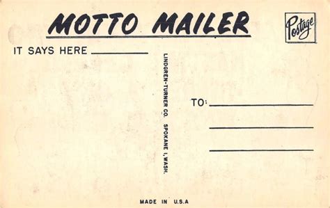 For Every Girl Who Has The Curves Risque Comic Bikini C S Vintage Postcard Other