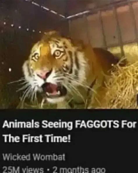 The Latest Memes Memedroid
