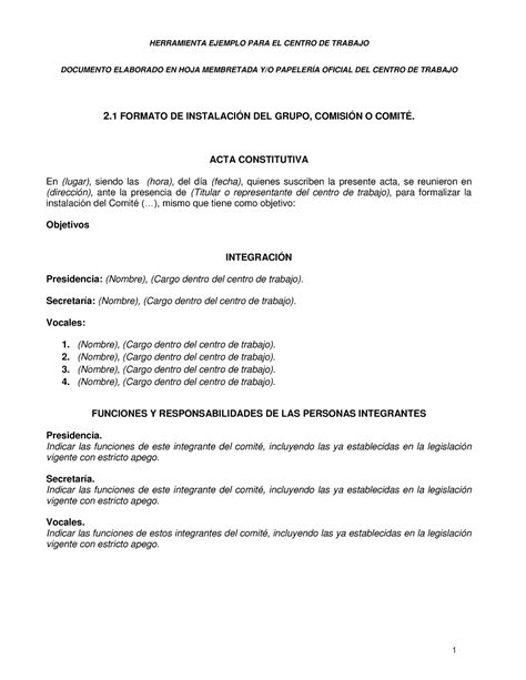 Acta Constitutiva Resumida HERRAMIENTA EJEMPLO PARA EL CENTRO DE