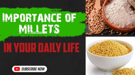 All About Millets Types And Variety How To Eat Millets For Weight