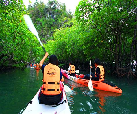 Kayaking Full Day At At Bor Thor With Lunch