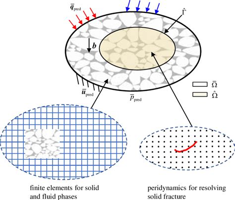 Schematics Of The Superposition Of Peridynamics Discretization Of A