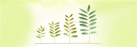 Csr Annual Reports