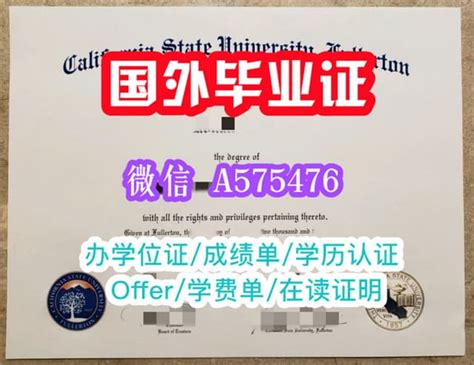 一比一原版csun学位证书加州州立大学北岭分校毕业证学位证可查学历认证 Ppt