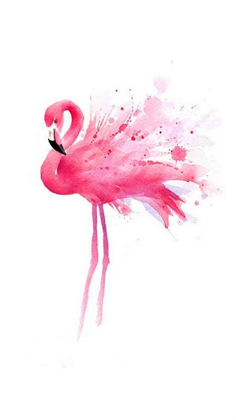 Flamingo Wallpaper - iXpap