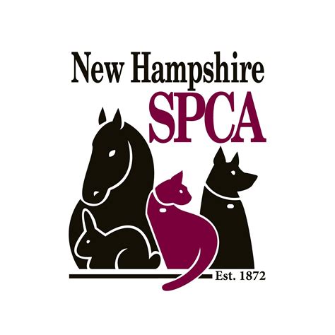 Granite State Dog Recovery | Hooksett NH