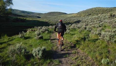 Introducing Two New Single Track Trails In The Victory Ranch