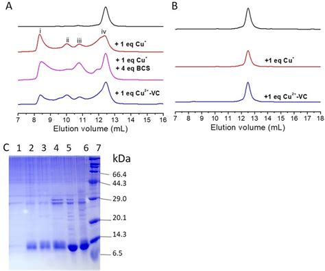 Interaction Of 0 5 MM BIR3 Or Its C351S Mutant With Cu I A SEC